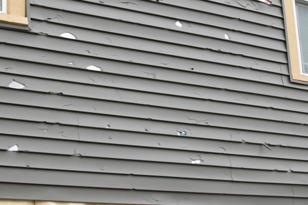 Best Steel Siding Installation  in Gerdine, AL